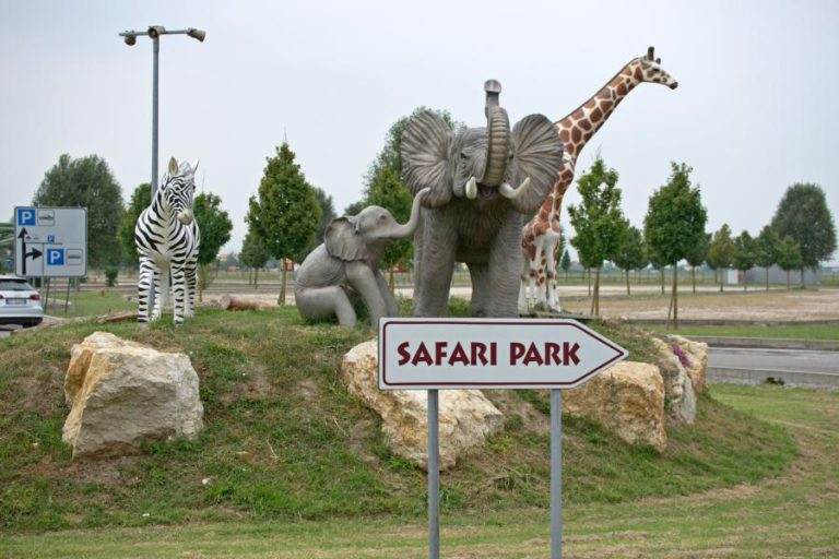 Зоопарк Safari Ravenna