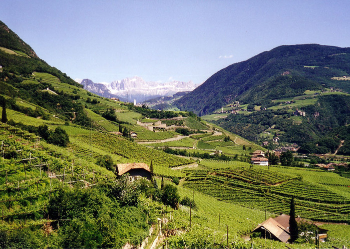 Склоны гор в Северной Италии