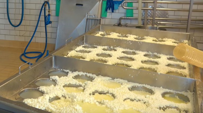 процесс создания сыра